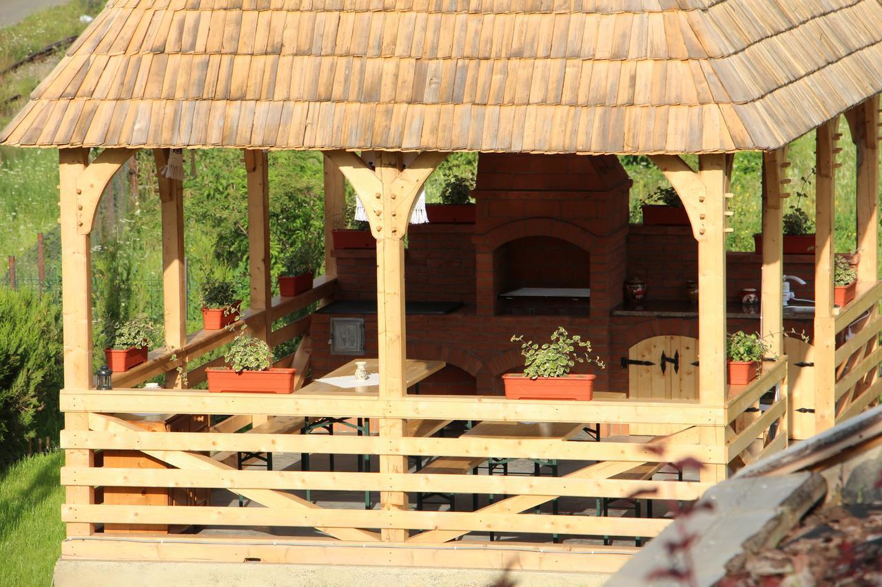Отель Casa Ralucai Мойсей Экстерьер фото